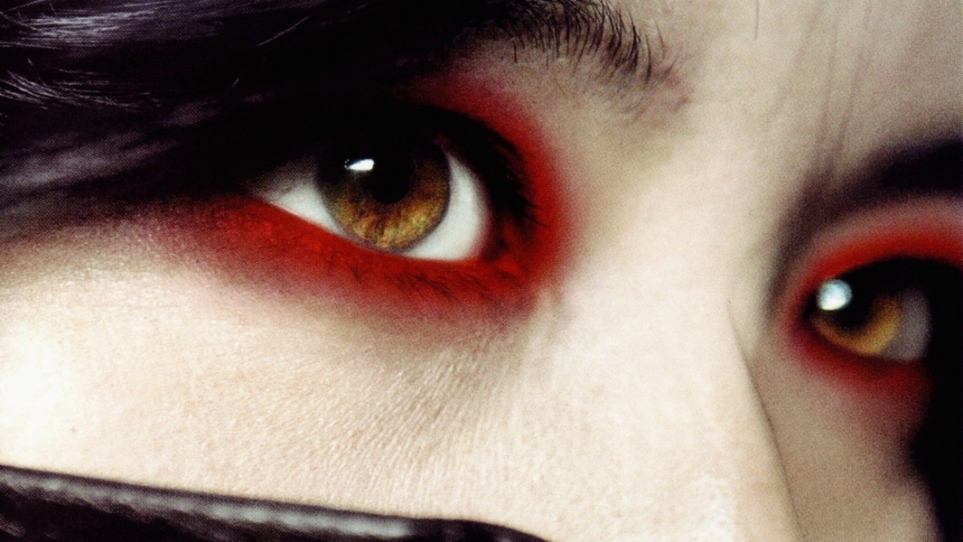 Sympathy for Lady Vengeance