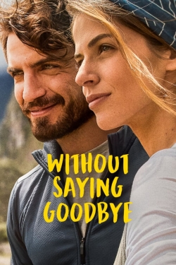 Without Saying Goodbye