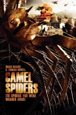 Camel Spiders